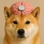 Coin image for 9tjBDNDBBk4C4kkPwrH9RwMG2Ee5wKffDgoqbNG7pump