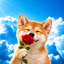 Coin image for 9tvrTrVxMiEuXbEktTdeAHjP2v9PMPYpuaRfPkTVpump
