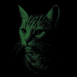 Coin image for 9uEnTaPxqaKPWjpEsDYjxxxdVbcAxkhBv37thLNQpump
