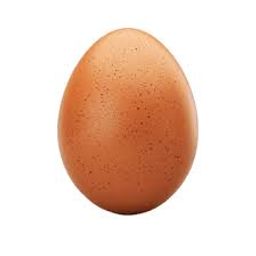 Coin image for 9uExFaXfNMoYrivi5n7K4qFToqAaYrdWht1YAFedpump