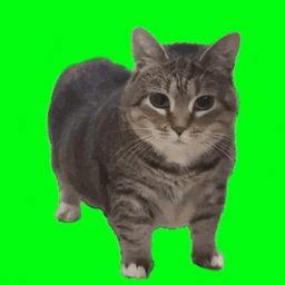 Coin image for 9uZDDbmMerqXnDNeNUZEND5HjeSgNpJT4XRcN7aVpump