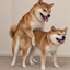 Coin image for 9uiNAzNhyenaDA8qGZpVQSMW3Gr8oeXHN1tbBwYWpump