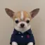 Coin image for 9uuGSY5pRKbEe9hqFCpFXoRXwGYnRc1GskdKThCXpump