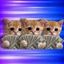 Coin image for 9vV9ScsoNEHV7U486XqaRS3G4ZZjXYTqnEVbjZz8pump