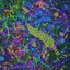 Coin image for 9wjxP7RiSQnvnhpZR7SHicBhTZwxQSSX54Mn8xrJpump