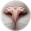 Coin image for 9wmR7BBiCcvi144TVmjPRQdvouJMeLGA1Ehe3yxrpump