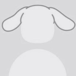 Coin image for 9xa5HXE9SPpn3qcYJ6QHDLLBPsS2weU6UhHC8WMxpump