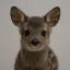 Coin image for 9xiUESLfvWJikoxDYr5Xogz7MpoqFcmWvuyFyHXSCupd