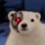 Coin image for 9xs99GmzMtHvVWkkfXa6aUkPuPA8DMyacE42qEHtpump