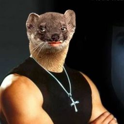 Coin image for 9zNtdsoaaHRkVeZcWStYUyffmhzrYM1cVXt8yFPepump