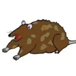 Coin image for A2FxGqEfCLcDwE2kHBHTmDYRCiFGaa3h4hC4kNqFpump