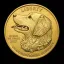 Coin image for A59AYVSC7kdEJPFXdKtVVvN1WwnrwSqsVY7HZzdTpump