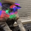 Coin image for A5gVj5j16U4vCTMXQYYrhkmWgx6gej4nAeZRNQMLUAfy
