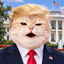 Coin image for A5gheWZ1yxp2iKJqmdvL5NbwV7NKSRks6RpwpPrUpump
