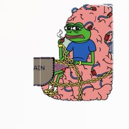 Coin image for A6dk7cctB5hxttse5VpFEreq9xiDvuRT3VfrEkcopump
