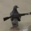 Coin image for A7kC3SnrooSPoLCYFU9btPiwrxeu7Zt3BAShZJnxpump