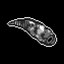 Coin image for A8B7SVc8NrKdbUV81kFnKRrYydBtVHwdKYyinqGrpump