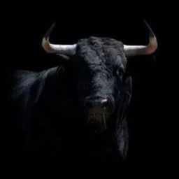 Coin image for A9WprwjY8ziNxRWPh9RuaabnsEAhDKuL9G8g2MrJBULL