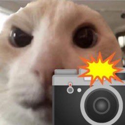 Coin image for AAfqeJ1CBgLfEzobedkQCtYY8LT9vW4yTv9EeZLBpump