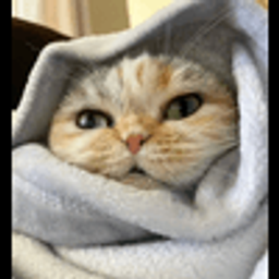 Coin image for AAzqBBCDCpKfc9MLLEAB8qoKYYgssP3a5uoobGwKamsM