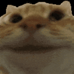 Coin image for ABCjaqFGmCYPf6DpstWbAznBKc9UAQKCVhqruCVNpump