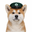 Coin image for ABQYUwmSgw5GdJqykSVKtqVhK1XbS4fwjcWzzMMgpump