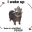 Coin image for ABVUsZTBtsbFcCKh7uGa6gaq9MtxPfMSFFii3ufSgkxt