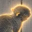 Coin image for ABq427784Vo8h7C5E2HSCszUFLyA3Gx38xzUp21pump