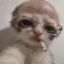 Coin image for ADGJE6vcKppXP3cnoXfor1sYahgPbeWu5CnEyB1dZNQ8