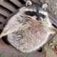 Coin image for AEU1RQEn21nHkJrgiaSWJPBFGJhGMG3j1rR8ytDtTqMU