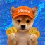 Coin image for AEUgviL3uM6NoR4rdwWjQH6Sx8wBk8oVoGkAXDo9pump