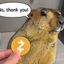 Coin image for AEaBdNt22Cy6TH37rjBsxdr14NdRGjSbtdeiL7vz5ppy