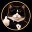 Coin image for AEajKmAwBuDZHDMfZi2RGLDyKyRU8UhGG8ChJppKpump