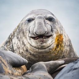 Coin image for AEttXpHbEdPnbXt2PF6wvySmDVygtHeAPdkKKGVbMnUX