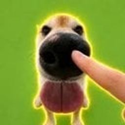 Coin image for AFnUmdKxz33H8JjKekSDWH6iRGFhXJPSBc4eFE2Gpump