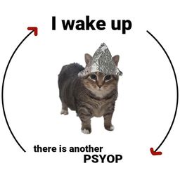Coin image for AFsWCqujPkhgrfhKXoeKcdeZGLg3ZfAwzUuYLw9dQEDh