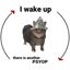 Coin image for AFsWCqujPkhgrfhKXoeKcdeZGLg3ZfAwzUuYLw9dQEDh