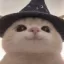 Coin image for AFvNDmYLe5D9av7JWWexnAd4u5pEpP9hoTvuC6XZpump