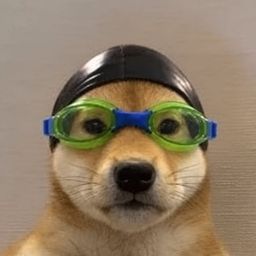 Coin image for AGXAQBKHDcWGGZ7VGLFbzBiVB7R7dMbLz9h15nVQpump