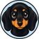 Coin image for AHyaPx2HrBcHmP44H3XfFg6UiELkJ9v4uM8UgkTVpump