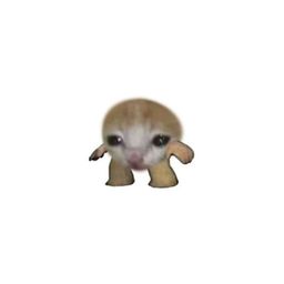Coin image for AJspV7XoW6NAnUPb7WTubFPrWLcKzphZpBMEFrRqpump