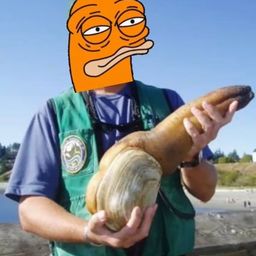 Coin image for AKydPPmypU6vYJCVwrLLtdetmm2buDpsAtskZpPupump