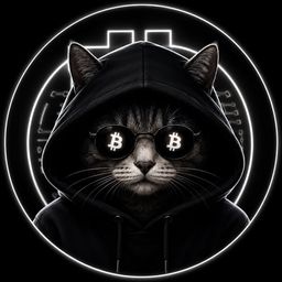Coin image for ALM8fgiCjduDG8jQWCABifkRvoFbQ57t3oWvCgCopump
