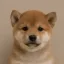 Coin image for ALViqqAacMnnJRxKsFGCEZXgyYwaqxgo9ov6QPPApump
