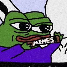 Coin image for ALY1hvfM8gtqXUCi2ZKVPmaxKeZME5qtmcsfCsQApump