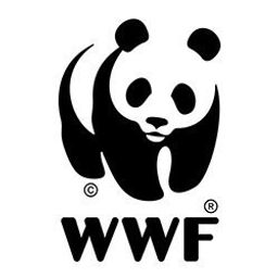 Coin image for ALkwwfFFCWSMv6XSXNPkqdptkwXqKjsFqDGoTuuHpump