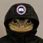Coin image for ALqvTztHAw5nHGGm9RDqo33ryZ38s13zmwfwgANHcEms