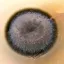 Coin image for AM7A7s61AZqDYkWLhr2h74C1g1QUM9duD8gr3cPApump