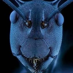 Coin image for AMgZRwyHaEc7w6TXphZELQYeXxBEVmWpm6DRP5nXpump