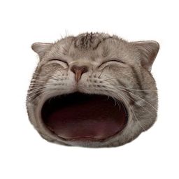 Coin image for AMjermsXSsNUV63aVArVAmpSWAtUif96QaSzdKQLYpfX